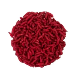 Pecheur.com ASTICOTS GOZZERS RUBIS