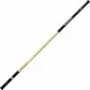 CANNE COUP A EMMANCHEMENT DAIWA GIANT CARP 1000