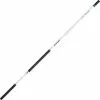 CANNE COUP TELESCOPIQUE DAIWA TEAM DAIWA