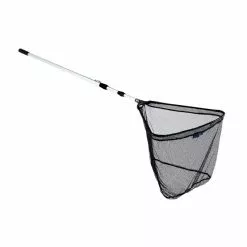 EPUISETTE AUTAIN COURLIS