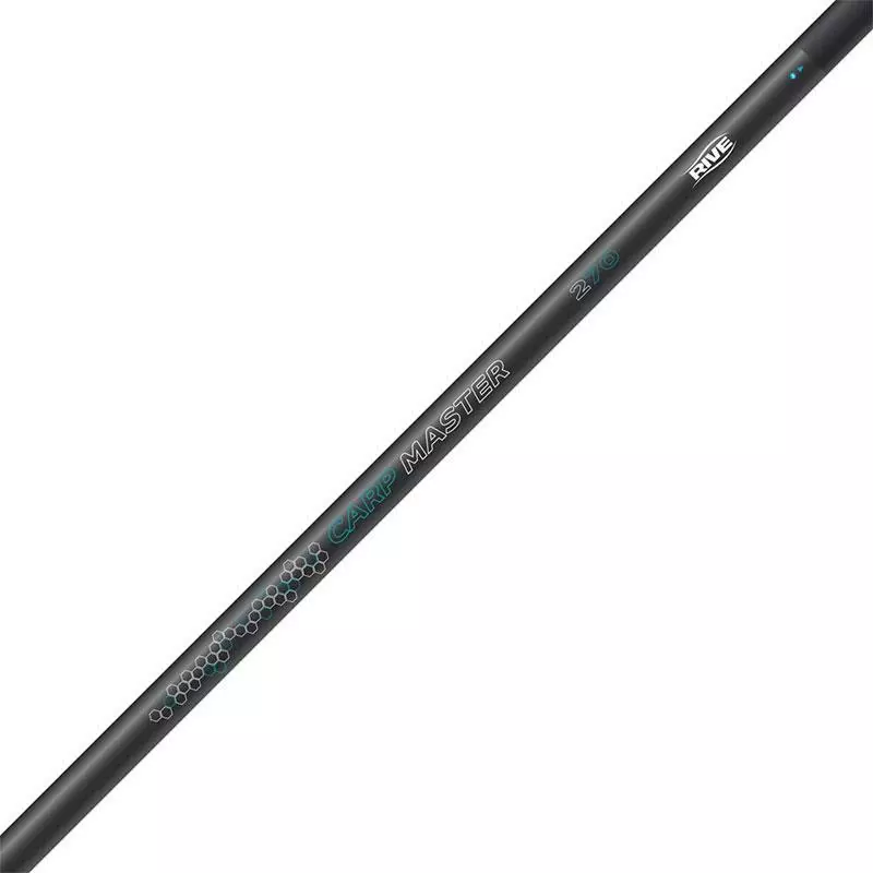 MANCHE D EPUISETTE RIVE CARP MASTER 1 MANCHE D EPUISETTE RIVE CARP MASTER