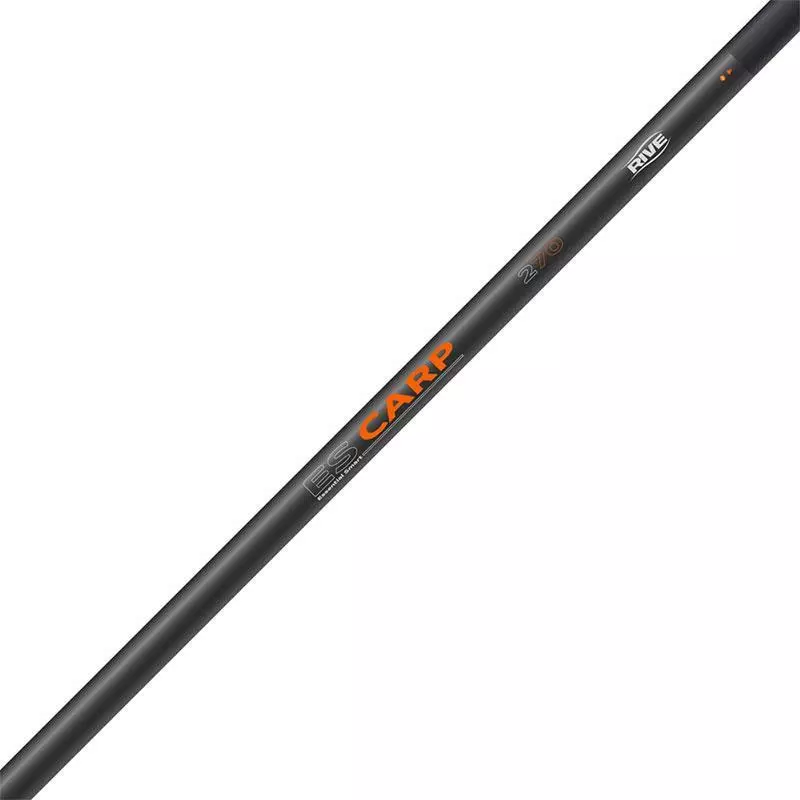 MANCHE D EPUISETTE RIVE ES CARP 1 MANCHE D EPUISETTE RIVE ES CARP