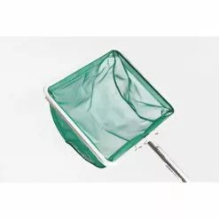 TÊTE D ÉPUISETTE AMIAUD